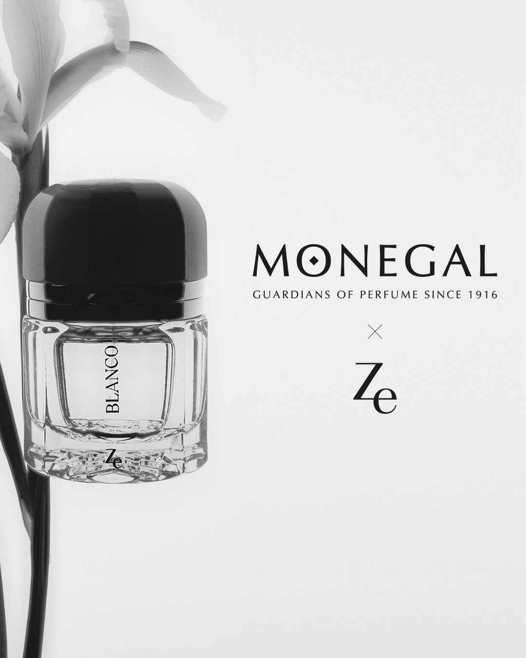 _monegal-ze_1080x1350_ESP