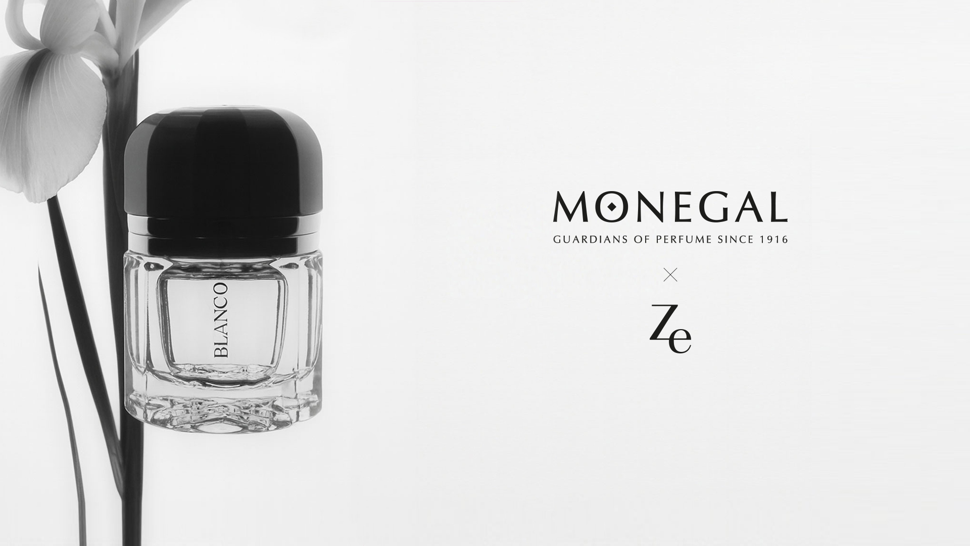 monegal-ze_1920x1080_02